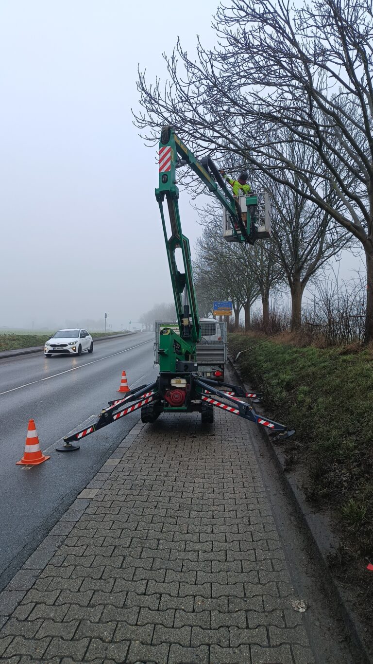 Lichtraumprofilschnitt